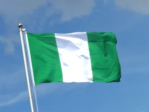 پرچم نیجریه از پرچم های زیبای جهان